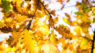 На выходных удастся согреться