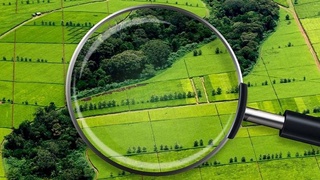 Земельный учет как основа рационального использования общенационального богатства