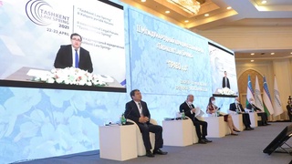 Проявление прямой демократии обеспечивает «цифра»