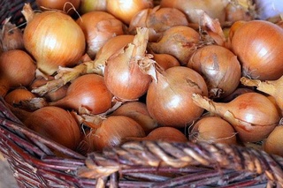 Определены меры по поставке на внутренние рынки до 1 апреля 37,5 тысяч тонн дополнительно требуемого лука