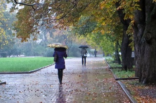Синоптики рассказали о погоде в последнюю неделю ноября
