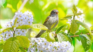 Прогноз погоды на день 10 апреля