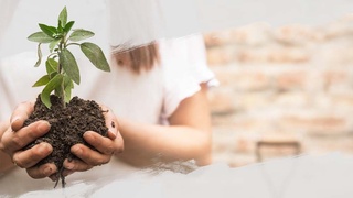 «Зеленый» разворот