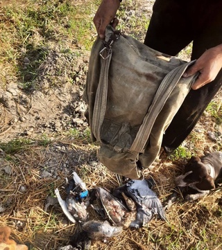 Ўрдак овчилари “ўра"га тушди