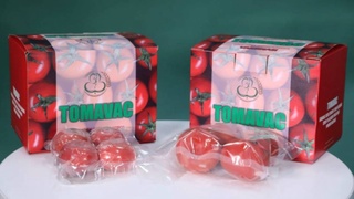 Олимони Ӯзбекистон ваксинаи хӯрданибоби бар зидди COVID-19 дар асоси томат офариданд