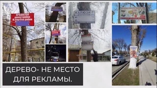 Дерево - не место для рекламы!