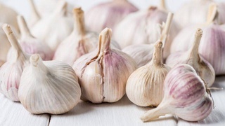 Узбекские селекционеры запатентовали новый сорт чеснока