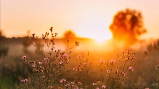 Глобал исиш кишиларнинг уйқуси камайишига олиб келади