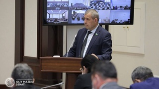 В Сенате заслушан отчет Комитета по вопросам бюджета и экономических реформ