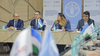 Ветеринары повысили квалификацию