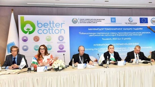 Трансформация хлопкового сектора Узбекистана