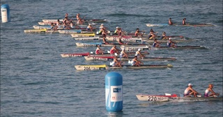 Los Angeles 2028: a record number of sets of awards will be awarded in swimming