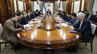 Senators discussed issues of overcoming problems in the field of migration