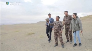 Toshkent viloyatida 8 bosh itolgʻi tabiatga qoʻyib yuborildi