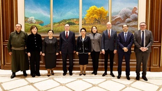 Сенат Төрайымы бірқатар елдердің омбудсмандарымен кездесті