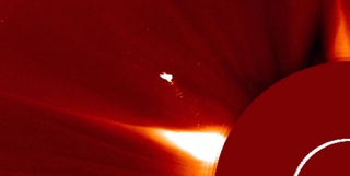 A mysterious "bird" 10 times the size of the Earth has been discovered above the Sun