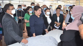 Танзила Нарбаева изучила работу по трудоустройству женщин в Ташлакском районе