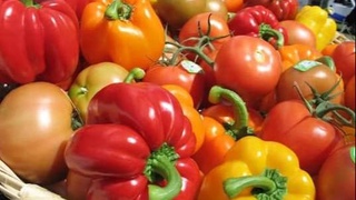 Россельхознадзор разрешил ввоз помидоров и перцев с 15 предприятий Ферганской области