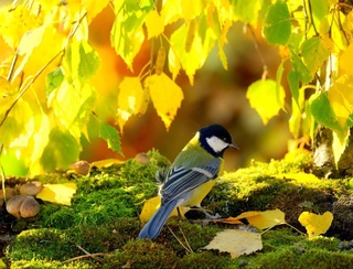 Прогноз погоды на день 25 октября