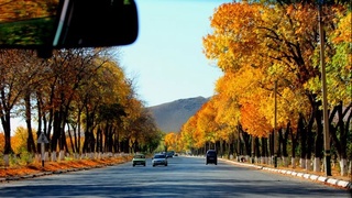 Ҳафта давомида совуқ чекинади