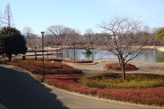 Прогноз погоды на 8 января