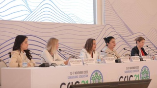 «Гендерное равенство важно в решении экологических проблем»: в рамках CRIC-21 обсудили права женщин в борьбе с ППБ