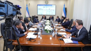 Ўзбекистонда конституциявий референдумга тайёргарлик кўриш ва уни ўтказишнинг ўзига хос хусусиятлари муҳокама этилди