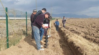 Бостандықта «Жасыл мекен»  жалпыұлттық жобасы қызу жүріп жатыр