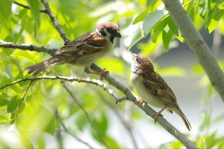 Пешгӯии обу ҳаво барои 2 май