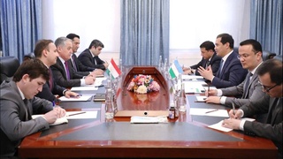 В Душанбе обсуждены перспективы укрепления узбекско-таджикских отношений