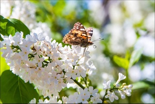 Weather forecast for March 31