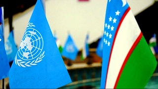 Курс на демократизацию: инициативы Узбекистана признаются мировым сообществом