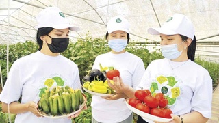 Уверенные шаги развития