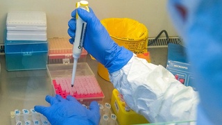 Названа страна-«лаборатория» по выведению новых штаммов Covid-19