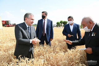 Шавкат Мирзияев егістік алқабында комбайн айдап, астық жинады