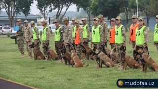 В Чирчике стартовали соревнования «Дог биатлон» между командами министерств и ведомств