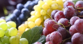 В январе-феврале 2022 года экспорт столового винограда в пять раз превысил прошлогодний показатель