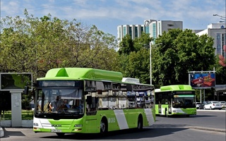 Жамоат транспорти ўз фаолиятини қайта тиклайди