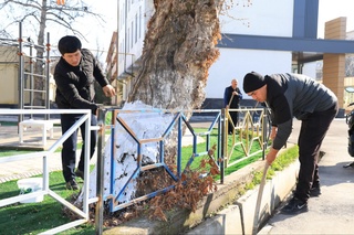 “Юрт ободлиги, аввало, маҳалладан бошланади!” шиори остида умумхалқ хайрия ҳашари бошланди