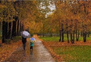 Weather forecast for November 6th