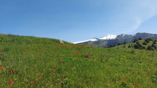 Ҳафтанинг ўртасига бориб жанубда ва чўл ҳудудларда +38 даражагача бўлади