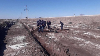 Үлкен жолдың еки бойы жасыл мәканға айланбақта