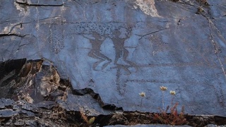 Сармишсой суратлари неча ёшда?