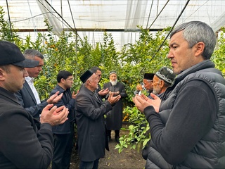“Лимон ҳосили сайли” — барака, меҳнат ва фидокорлик байрами!