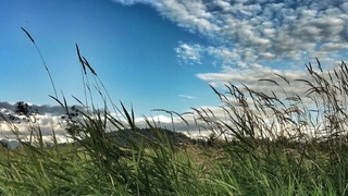 Демалыс күндері салқын түседі