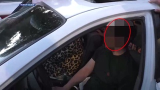 AQSH, Kanada va Polshaga yuborish bilan bogʻliq firibgarlik holatlariga chek qoʻyildi