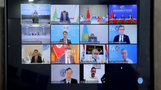 Концепцию создания Демонстрационной базы по обмену и обучению аграрным технологиям утвердили страны ШОС