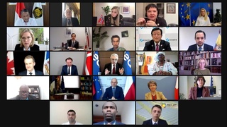 Состоялось Первое заседание Глобальной комиссии по переходу к экологически чистой энергии