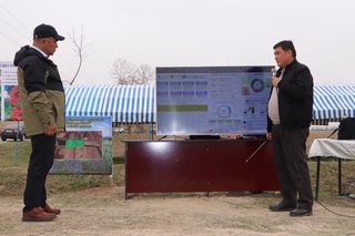 Жорий йил Китобда ғалла майдонлари 1000 гектарга қисқаради