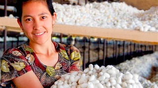 Реформам - должную динамику